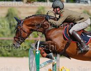 CRISTOFOLETTI AMICO MIO CampITA2013- S5 9368 : AMICO MIO, CRISTOFOLETTI ROBERTO, Campionati Italiani 2013, Cattolica, Horse Riviera Resort, foto di Stefano Secchi ©